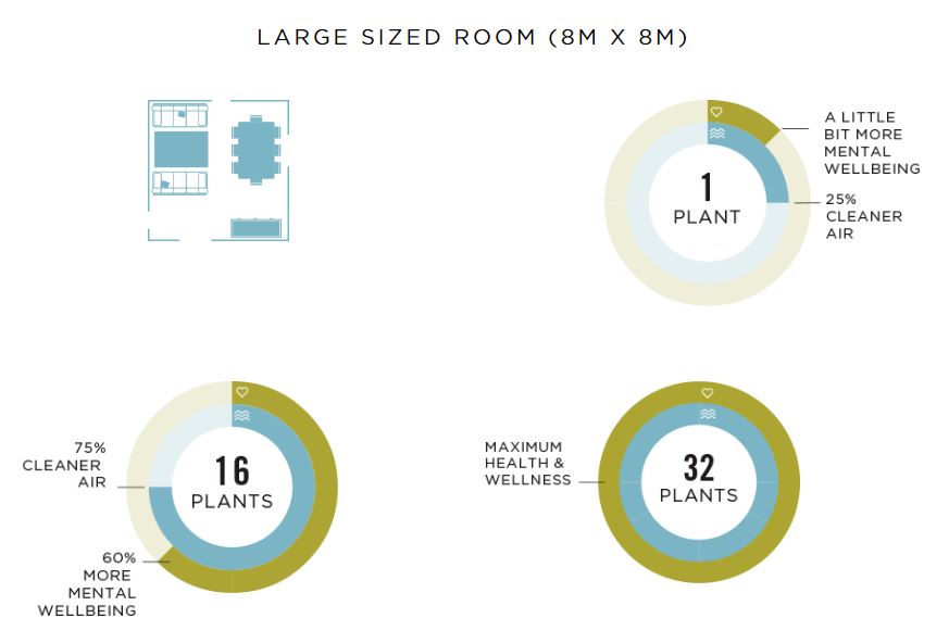 How many houseplants should you have in a large room