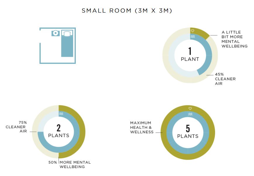 How many houseplants should you have in a small room